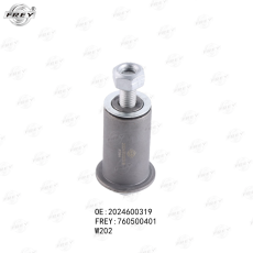 MAYATNIK W202