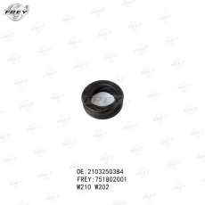 PURJUN REZIN W210 ARXA