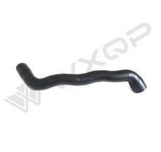 PATRUPKA W210 UST