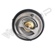TERMOSTAT M601 65*C